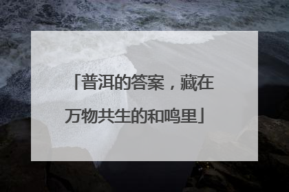 普洱的答案，藏在万物共生的和鸣里