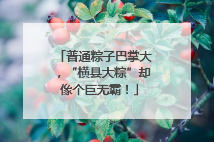 普通粽子巴掌大，“横县大粽”却像个巨无霸！