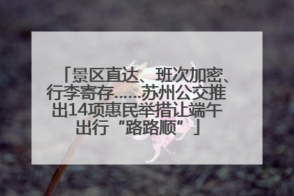 景区直达、班次加密、行李寄存……苏州公交推出14项惠民举措让端午出行“路路顺”
