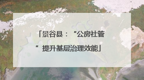 景谷县：“公房社管”提升基层治理效能
