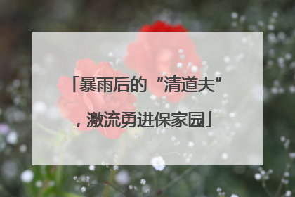 暴雨后的“清道夫”，激流勇进保家园