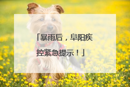 暴雨后，阜阳疾控紧急提示！