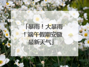 暴雨！大暴雨！端午假期安徽最新天气