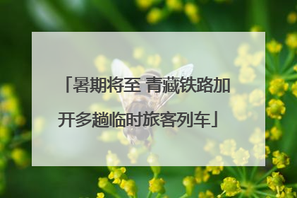 暑期将至 青藏铁路加开多趟临时旅客列车