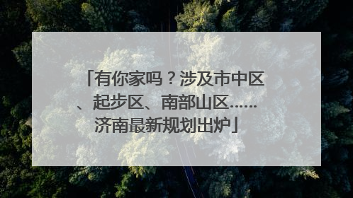 有你家吗？涉及市中区、起步区、南部山区……济南最新规划出炉
