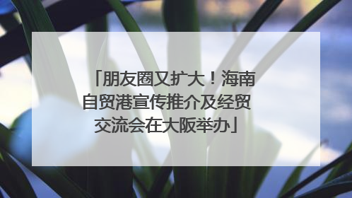朋友圈又扩大！海南自贸港宣传推介及经贸交流会在大阪举办