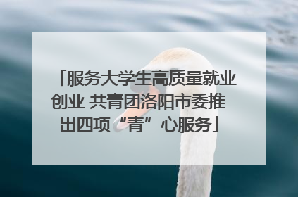 服务大学生高质量就业创业 共青团洛阳市委推出四项“青”心服务