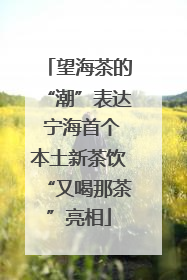 望海茶的“潮”表达 宁海首个本土新茶饮“又喝那茶”亮相