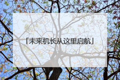 未来机长从这里启航