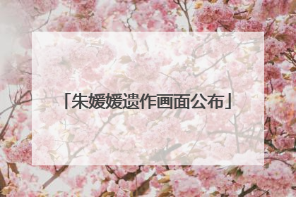 朱媛媛遗作画面公布