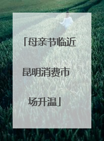 母亲节临近 昆明消费市场升温