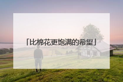 比棉花更饱满的希望
