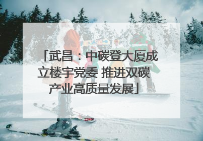 武昌：中碳登大厦成立楼宇党委 推进双碳产业高质量发展