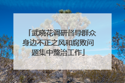 武晓花调研督导群众身边不正之风和腐败问题集中整治工作