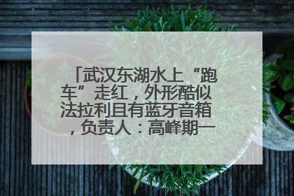 武汉东湖水上“跑车”走红，外形酷似法拉利且有蓝牙音箱，负责人：高峰期一两百人排队