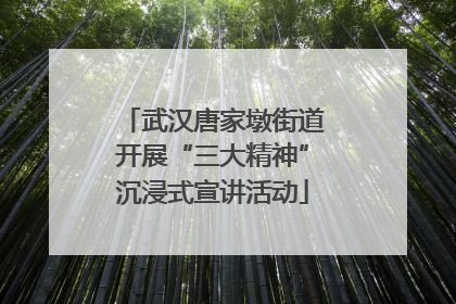 武汉唐家墩街道开展“三大精神”沉浸式宣讲活动