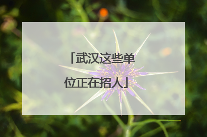 武汉这些单位正在招人