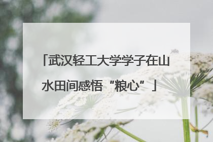 武汉轻工大学学子在山水田间感悟“粮心”