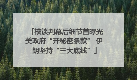 核谈判幕后细节首曝光 美政府“开秘密条款” 伊朗坚持“三大底线”