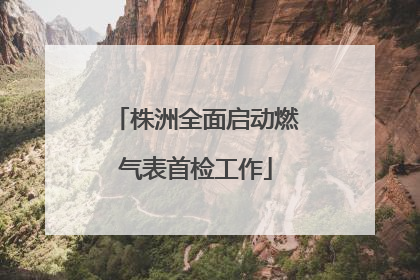 株洲全面启动燃气表首检工作