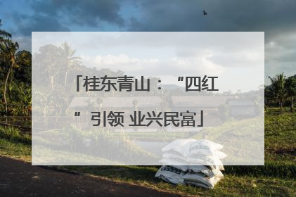 桂东青山：“四红”引领 业兴民富