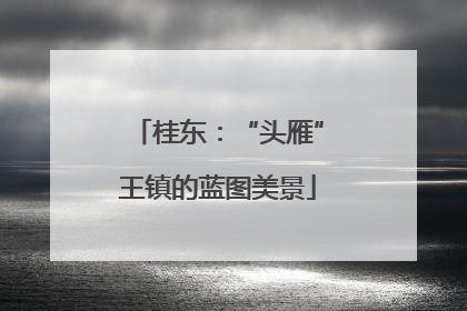 桂东：“头雁”王镇的蓝图美景