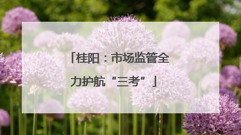桂阳：市场监管全力护航“三考”