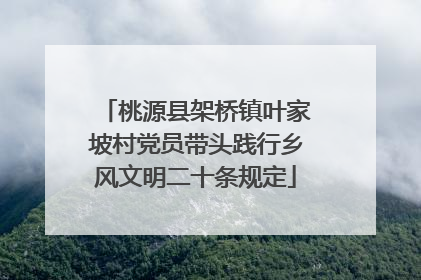 桃源县架桥镇叶家坡村党员带头践行乡风文明二十条规定
