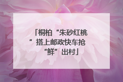 桐柏“朱砂红桃”搭上邮政快车抢“鲜”出村