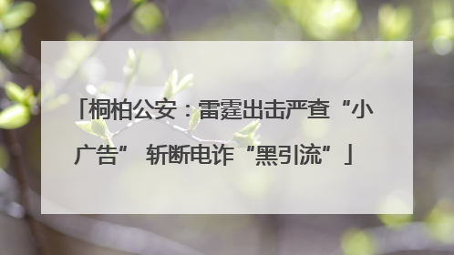 桐柏公安：雷霆出击严查“小广告” 斩断电诈“黑引流”
