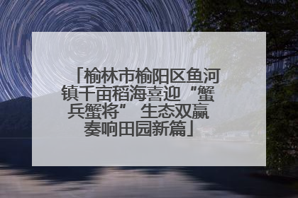 榆林市榆阳区鱼河镇千亩稻海喜迎“蟹兵蟹将” 生态双赢奏响田园新篇