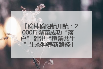 榆林榆阳镇川镇：2000斤蟹苗成功“落户” 蹚出“稻蟹共生”生态种养新路径