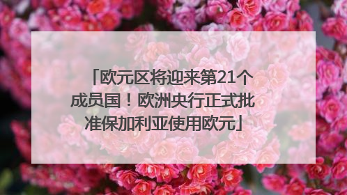 欧元区将迎来第21个成员国！欧洲央行正式批准保加利亚使用欧元