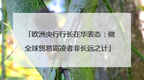 欧洲央行行长在华表态：做全球贸易霸凌者非长远之计