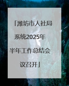 潍坊市人社局系统2025年半年工作总结会议召开