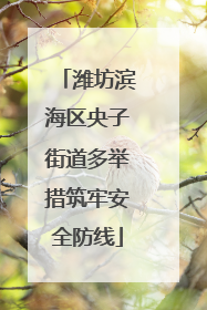 潍坊滨海区央子街道多举措筑牢安全防线