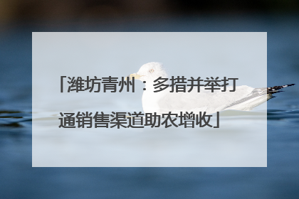 潍坊青州：多措并举打通销售渠道助农增收
