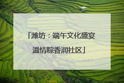 潍坊：端午文化盛宴 温情粽香润社区
