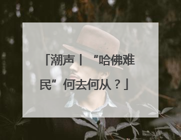 潮声丨“哈佛难民”何去何从？