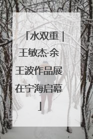 水双重｜王敏杰·余王波作品展在宁海启幕