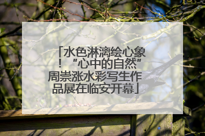 水色淋漓绘心象！“心中的自然”周崇涨水彩写生作品展在临安开幕