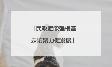 民政赋能强根基 走访聚力促发展