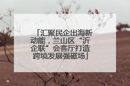 汇聚民企出海新动能，兰山区“沂企联”会客厅打造跨境发展强磁场