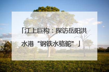 江上巨构：探访岳阳洪水港“钢铁水骆驼”