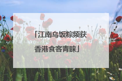 江南乌饭粽频获香港食客青睐