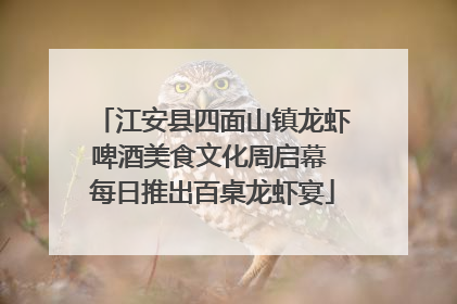 江安县四面山镇龙虾啤酒美食文化周启幕 每日推出百桌龙虾宴