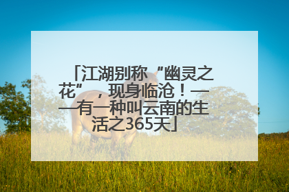 江湖别称“幽灵之花”，现身临沧！——有一种叫云南的生活之365天