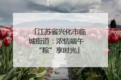 江苏省兴化市临城街道：浓情端午 “粽”享时光