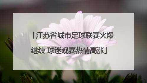 江苏省城市足球联赛火爆继续 球迷观赛热情高涨