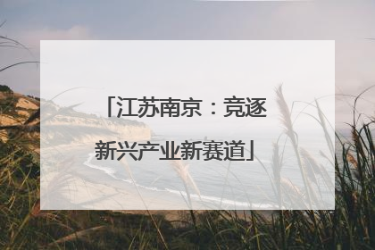江苏南京：竞逐新兴产业新赛道